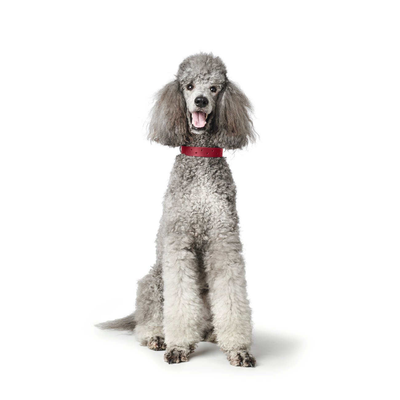 Halsband Aalborg Soul Bild 17