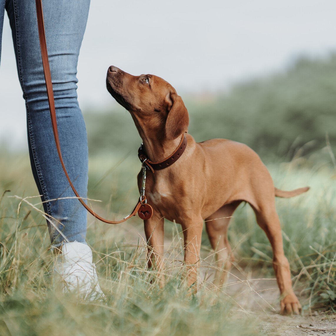 Halsband Aalborg Soul Bild 3