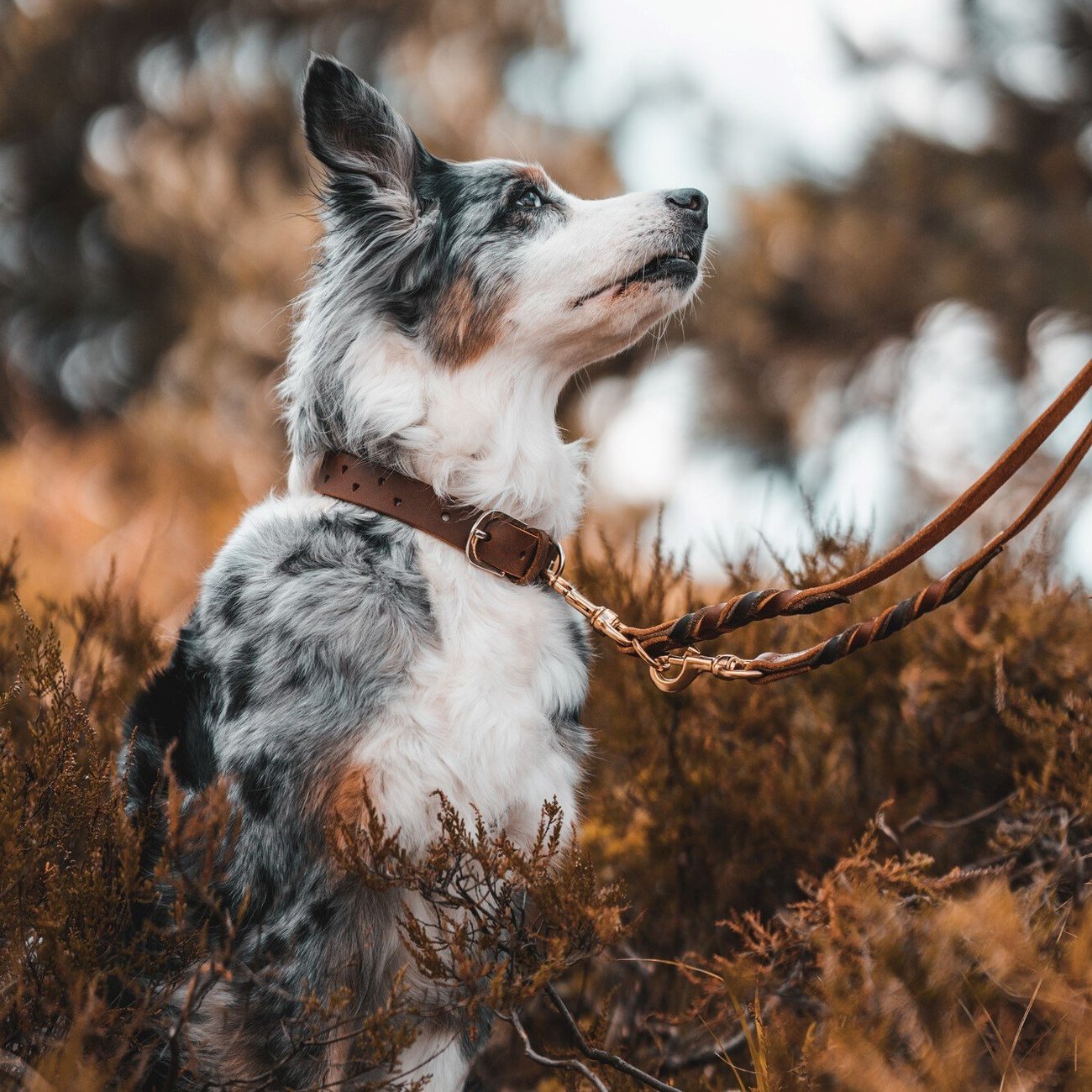 Halsband Aalborg Soul Bild 2