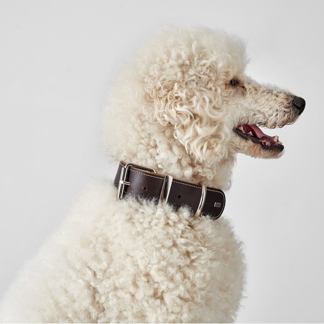 Hunter Halsband Aalborg Special Leder Bild 5