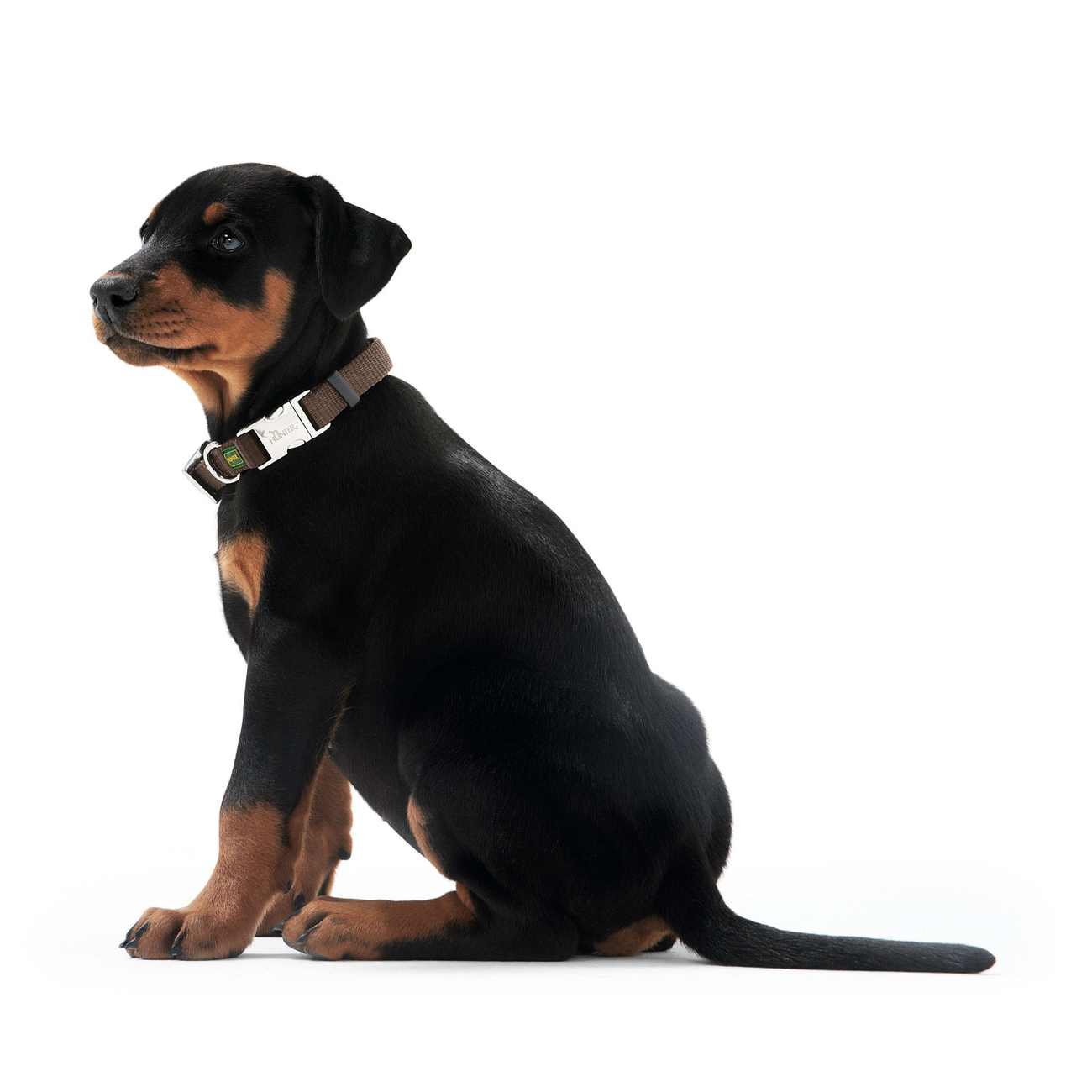 Hunter Halsband Vario Basic Alu Strong Verschluss Bild 11