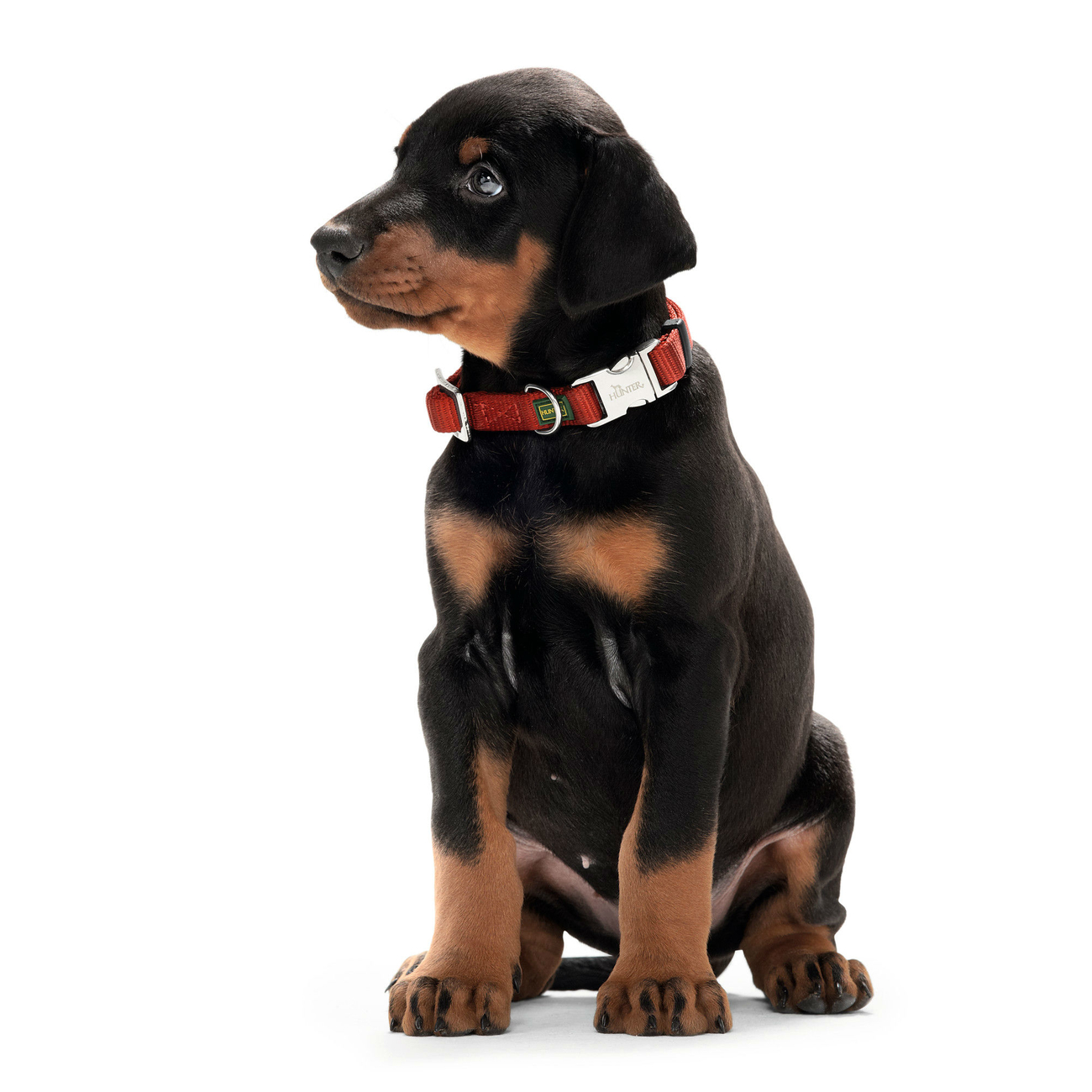 Hunter Halsband Vario Basic Alu Strong Verschluss Bild 16