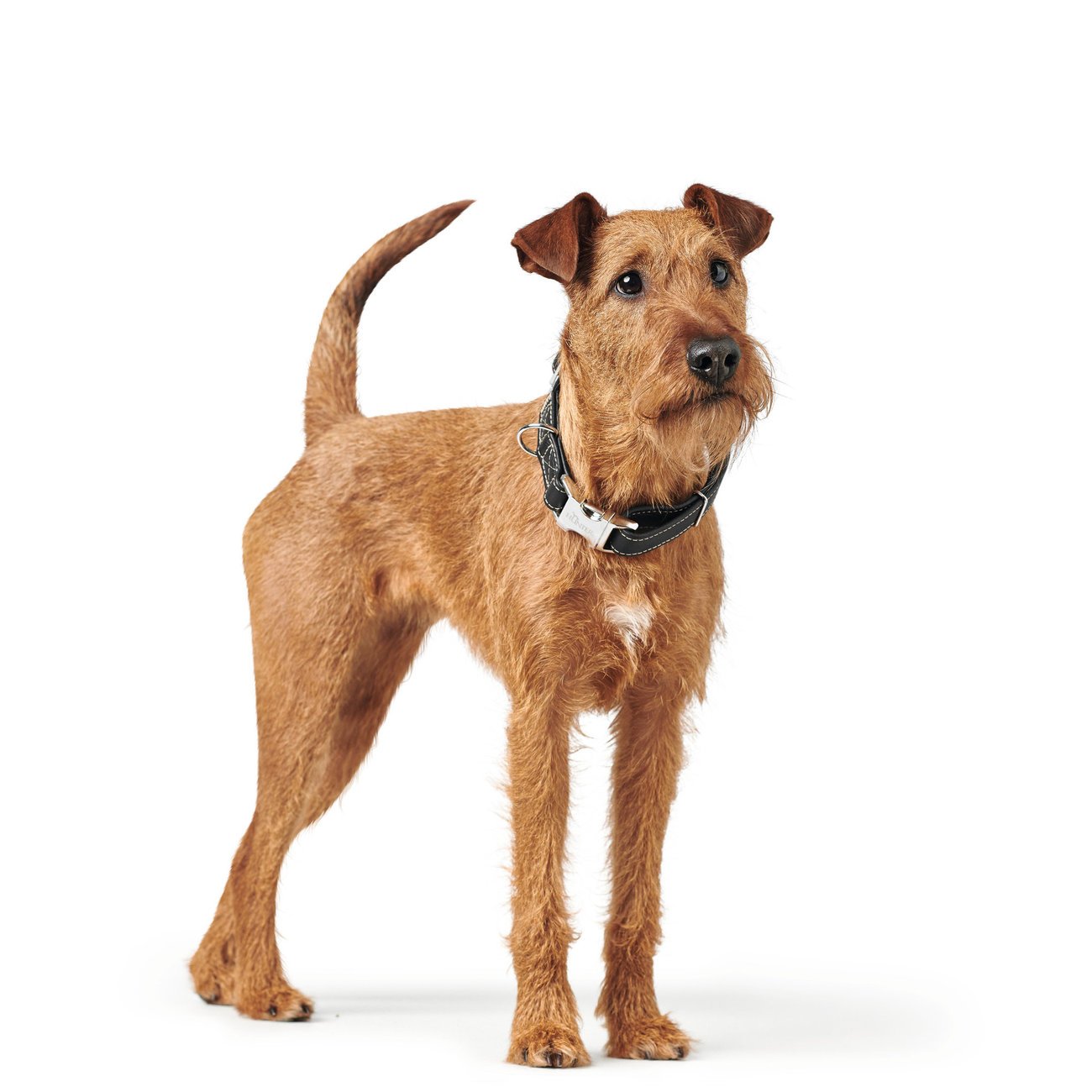 Hunter Halsband Cannes Alu-Strong Bild 5