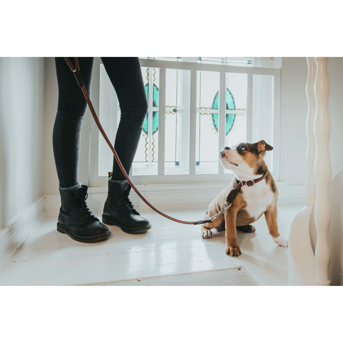 Hunter Halsband Cody Bisonleder Bild 6