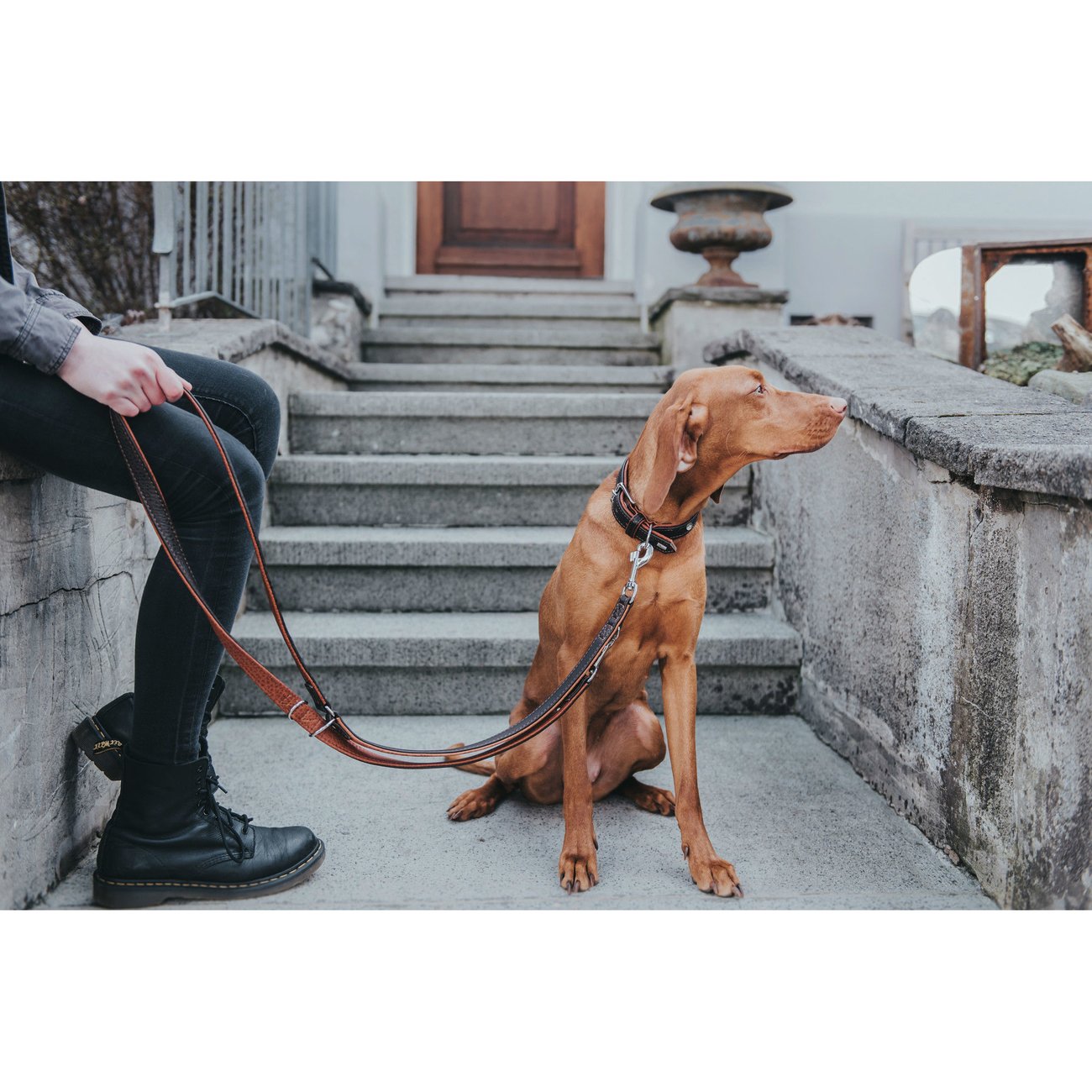 Hunter Halsband Cody Bisonleder Bild 8