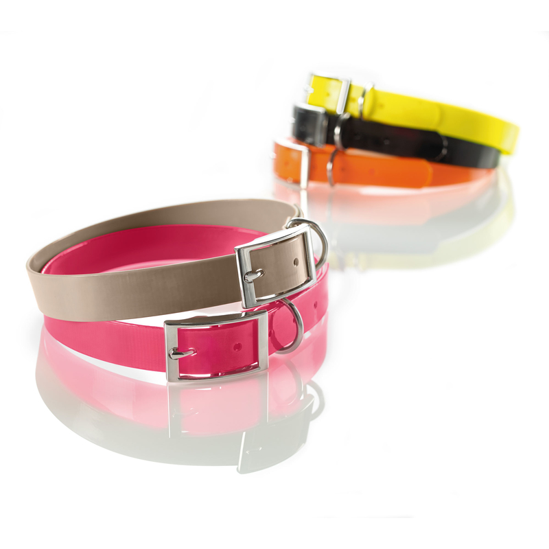 Hunter Halsband Convenience Bild 1