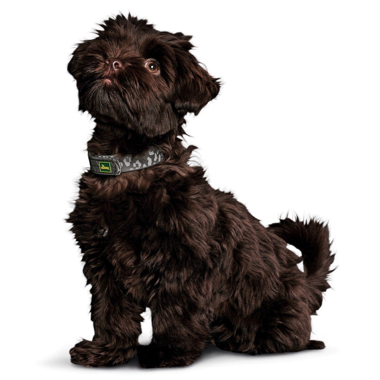 Halsband Convenience Reflect Bild 2