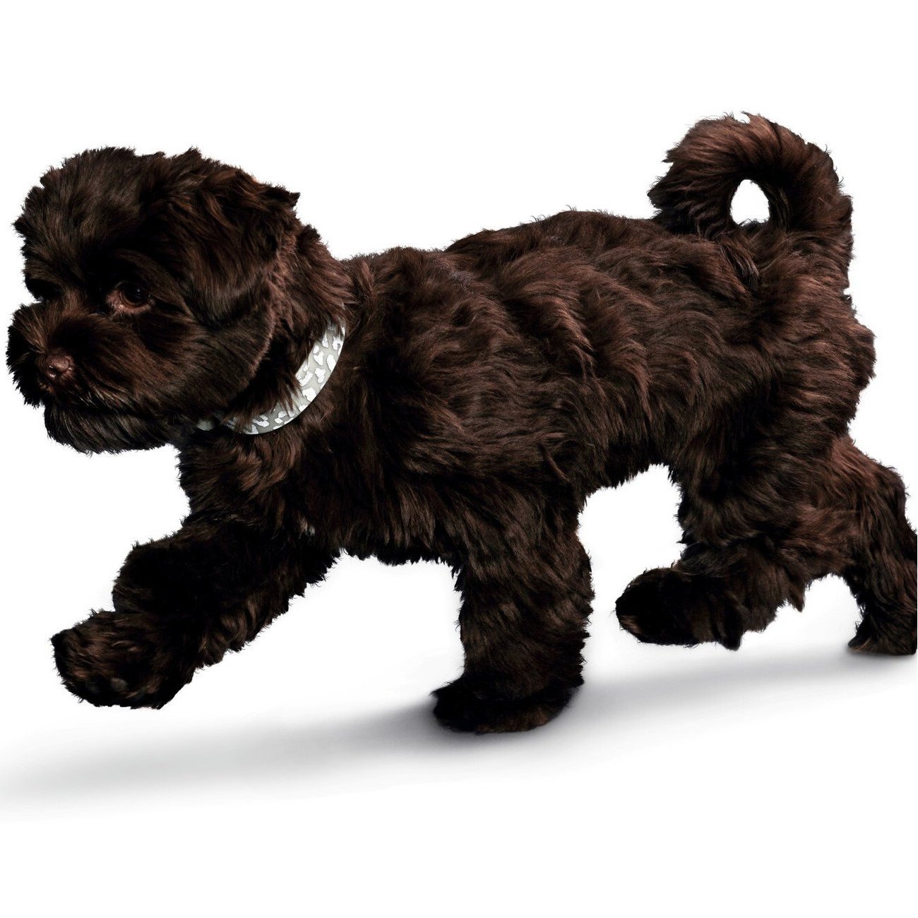 Halsband Convenience Reflect Glow Bild 11