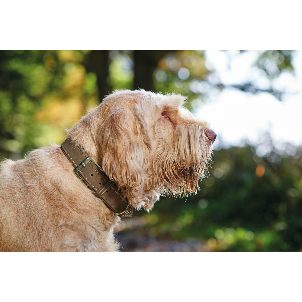 Hunter Halsband Hunting aus Leder Bild 5