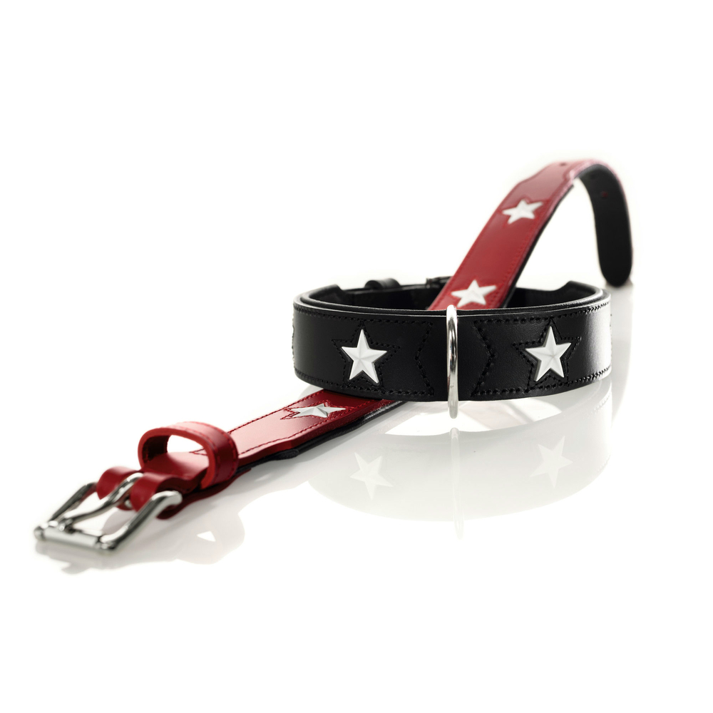Hunter Halsband Magic Star Bild 1
