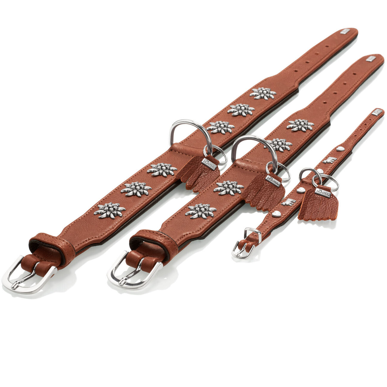 Halsband München für Hunde Bild 13