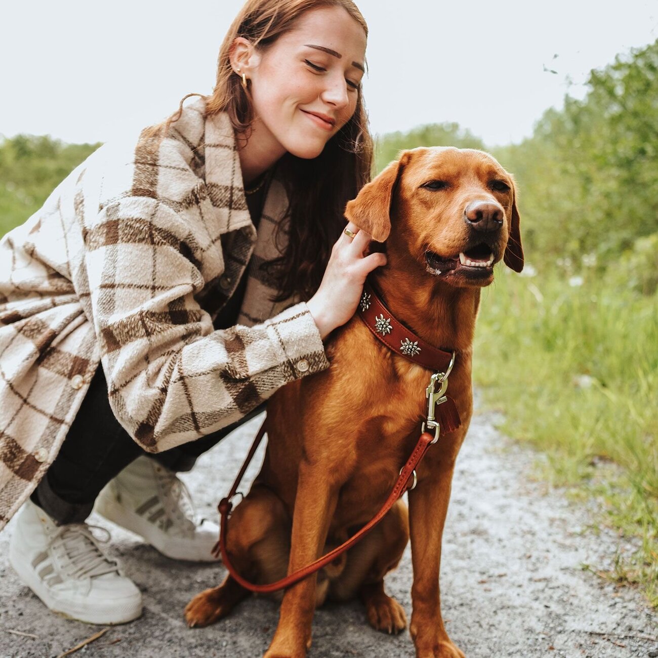 Halsband München für Hunde Bild 9