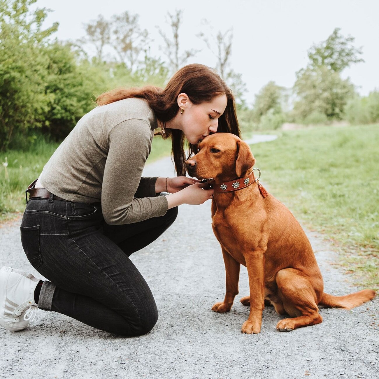 Halsband München für Hunde Bild 15
