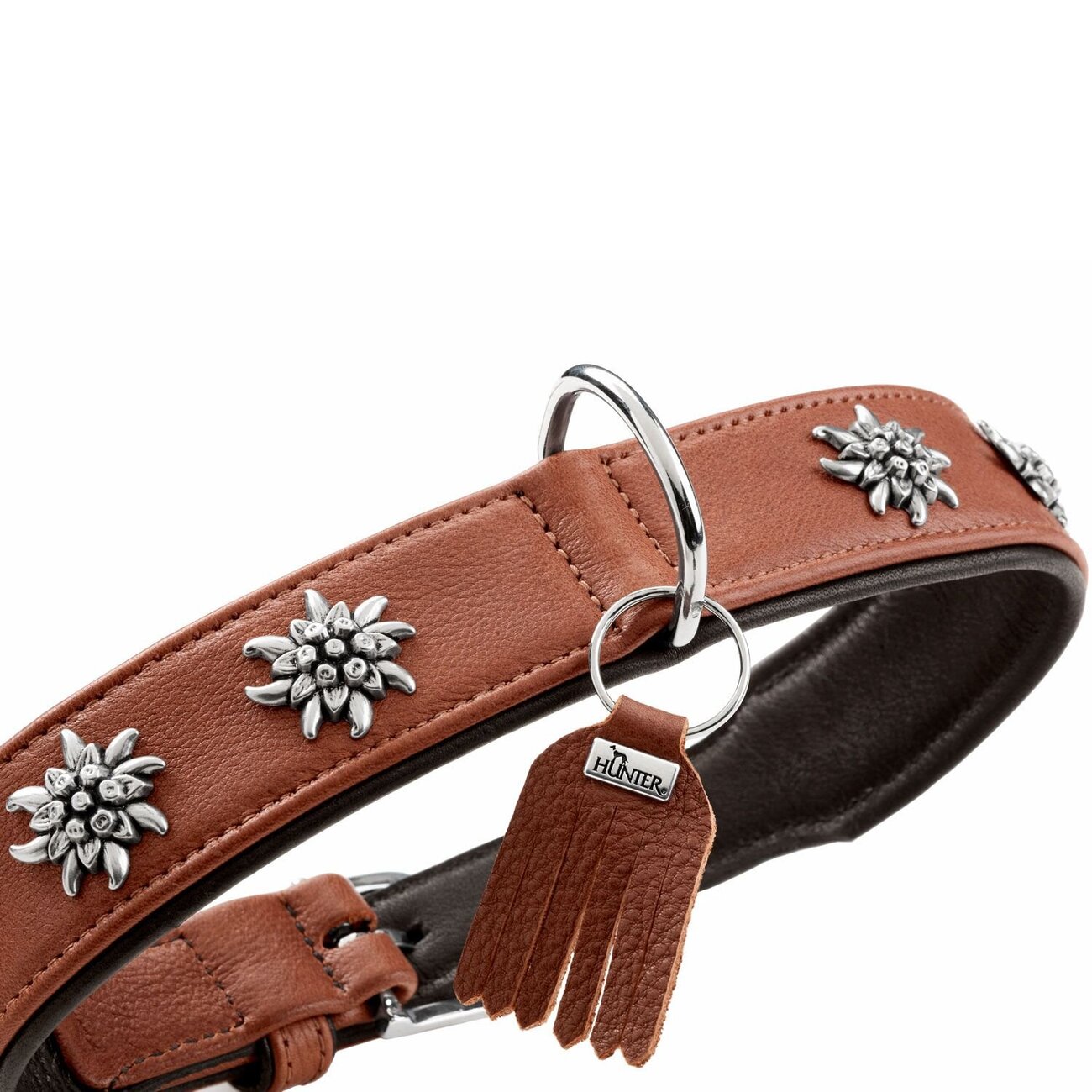 Halsband München für Hunde Bild 17