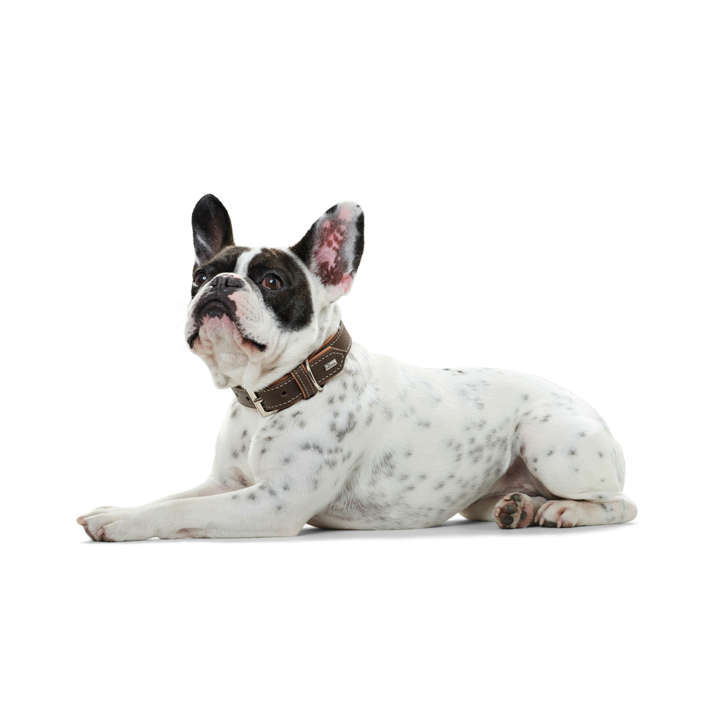 Hunter Halsband Porto Öko Leder Bild 8