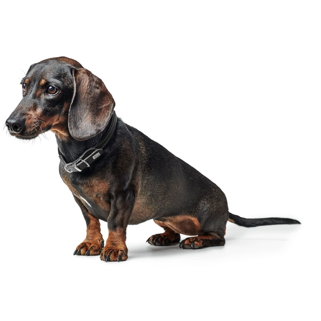 Halsband Round & Soft Canadian Up Bild 10