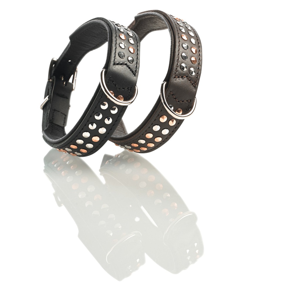 Hunter Halsband San Diego Bild 3