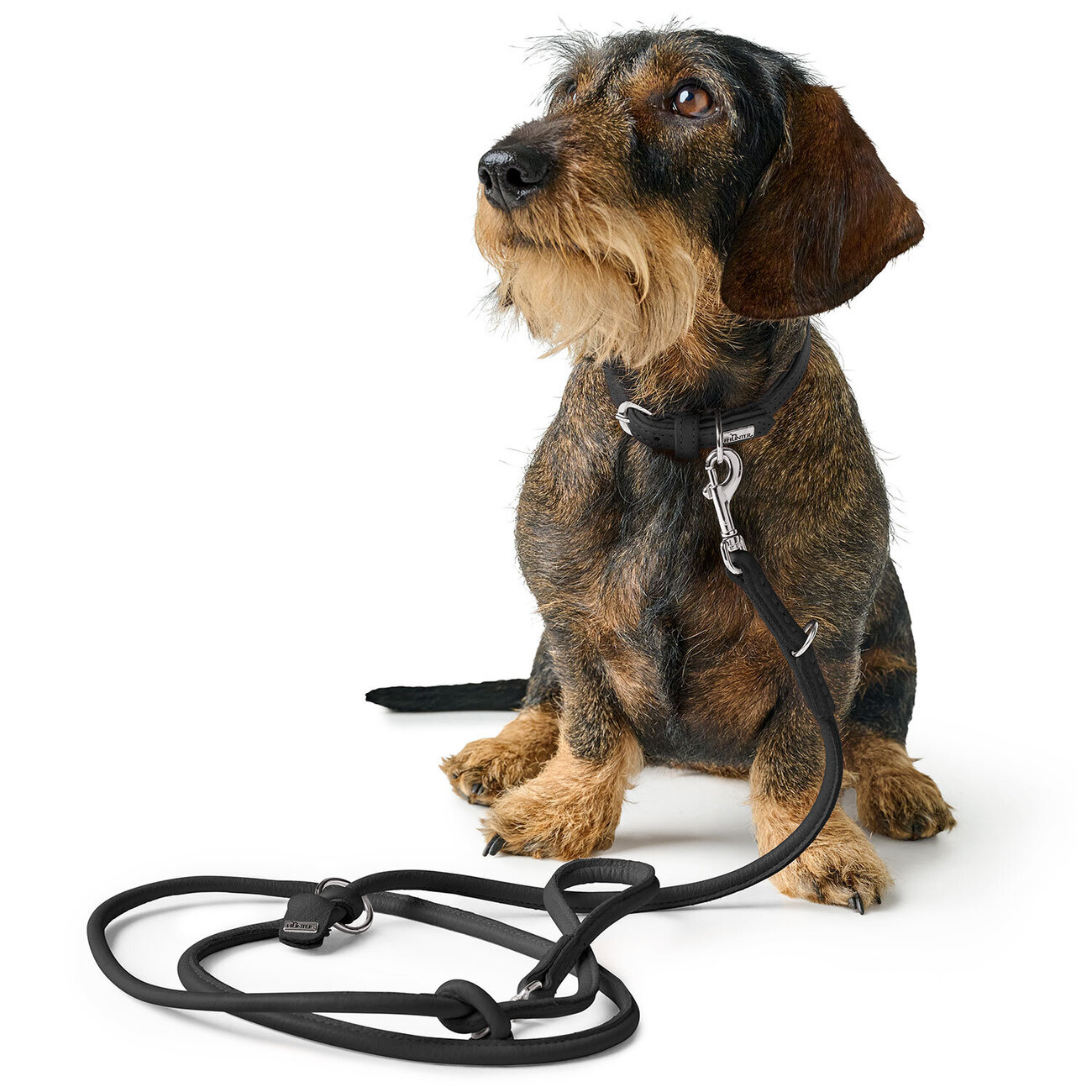 Halsband Soho Mini Bild 16