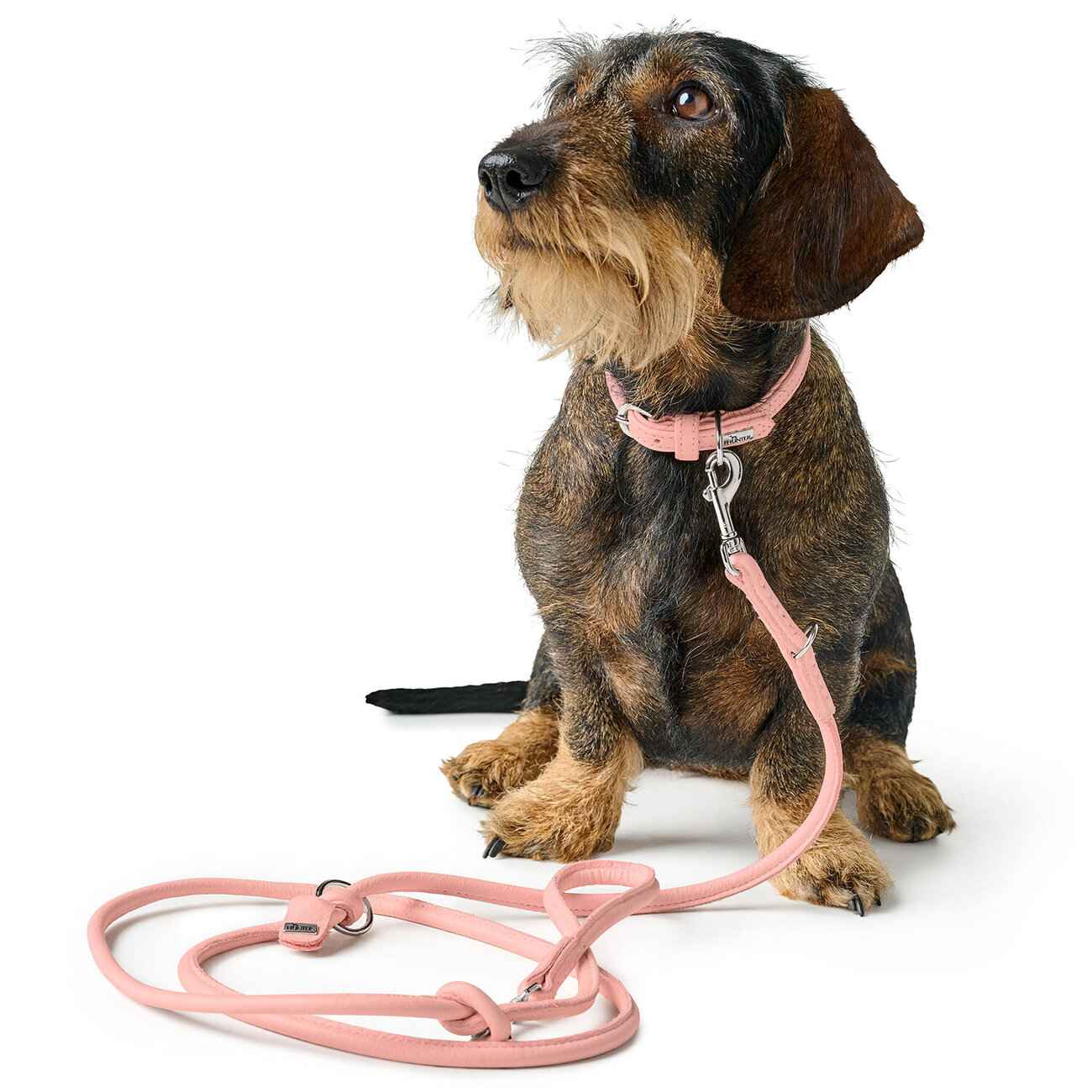 Halsband Soho Mini Bild 2