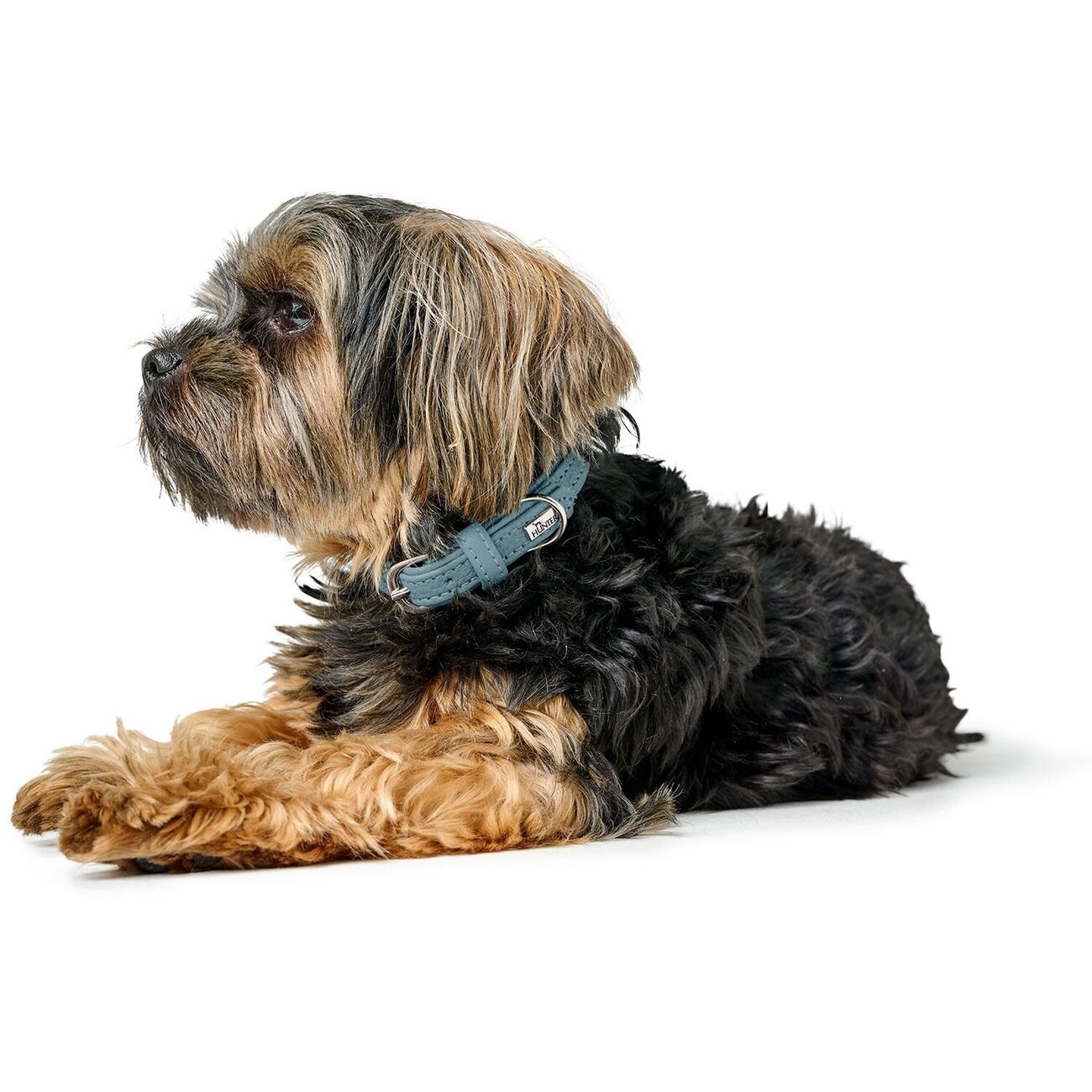 Halsband Soho Mini Bild 13