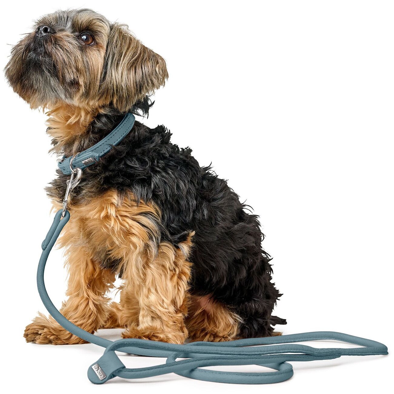 Halsband Soho Mini Bild 10