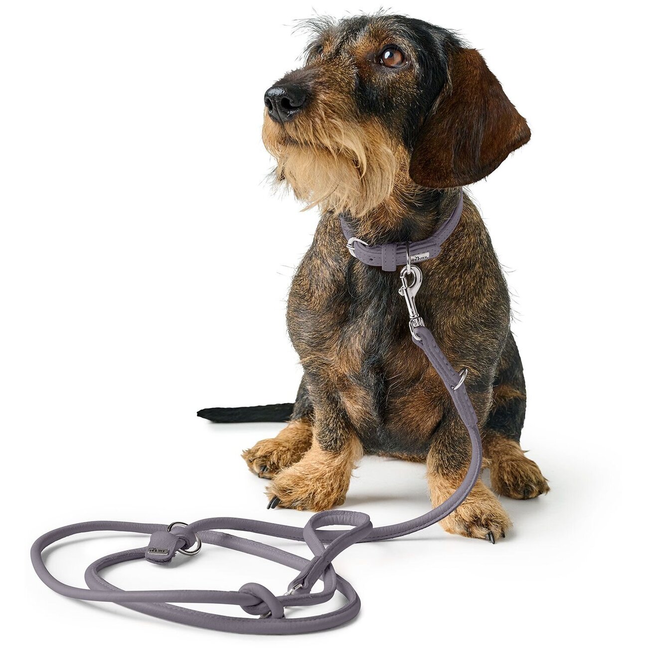 Halsband Soho Mini Bild 22