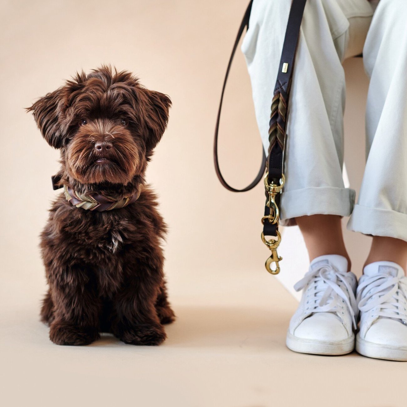 Halsband Solid Education Duo Bild 3