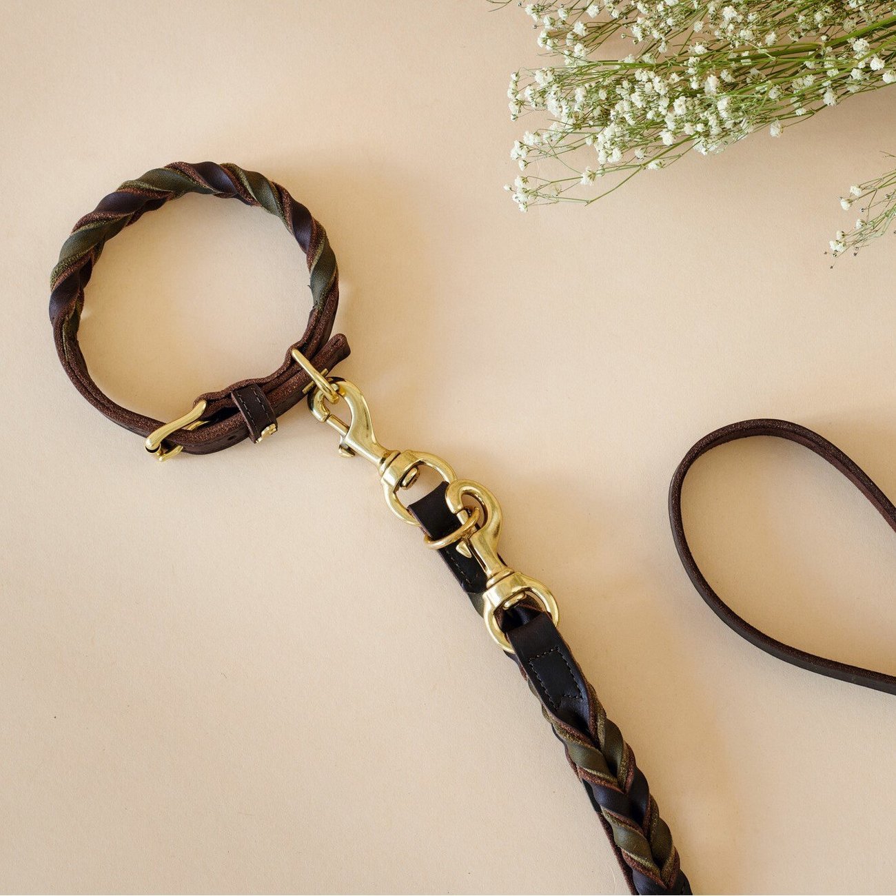 Halsband Solid Education Duo Bild 12