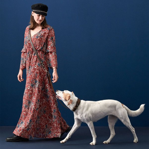 Hunter Halsband Solid Education Exclusive Bild 8