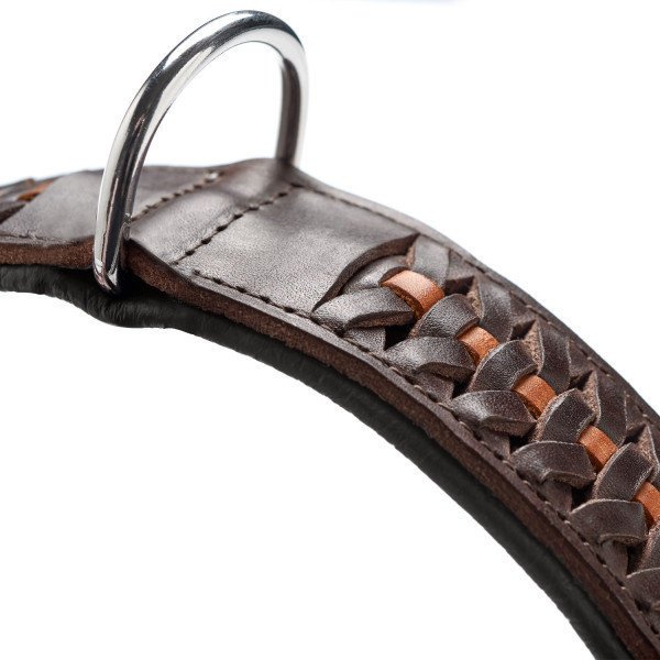Hunter Halsband Solid Education Exclusive Bild 7