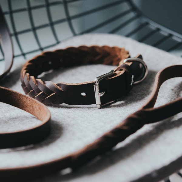 Hunter Halsband Solid Education Special Bild 4