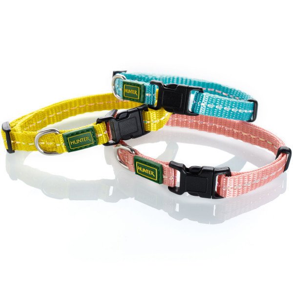 Hunter Halsband Tripoli Vario Basic für kleine Hunde Bild 4