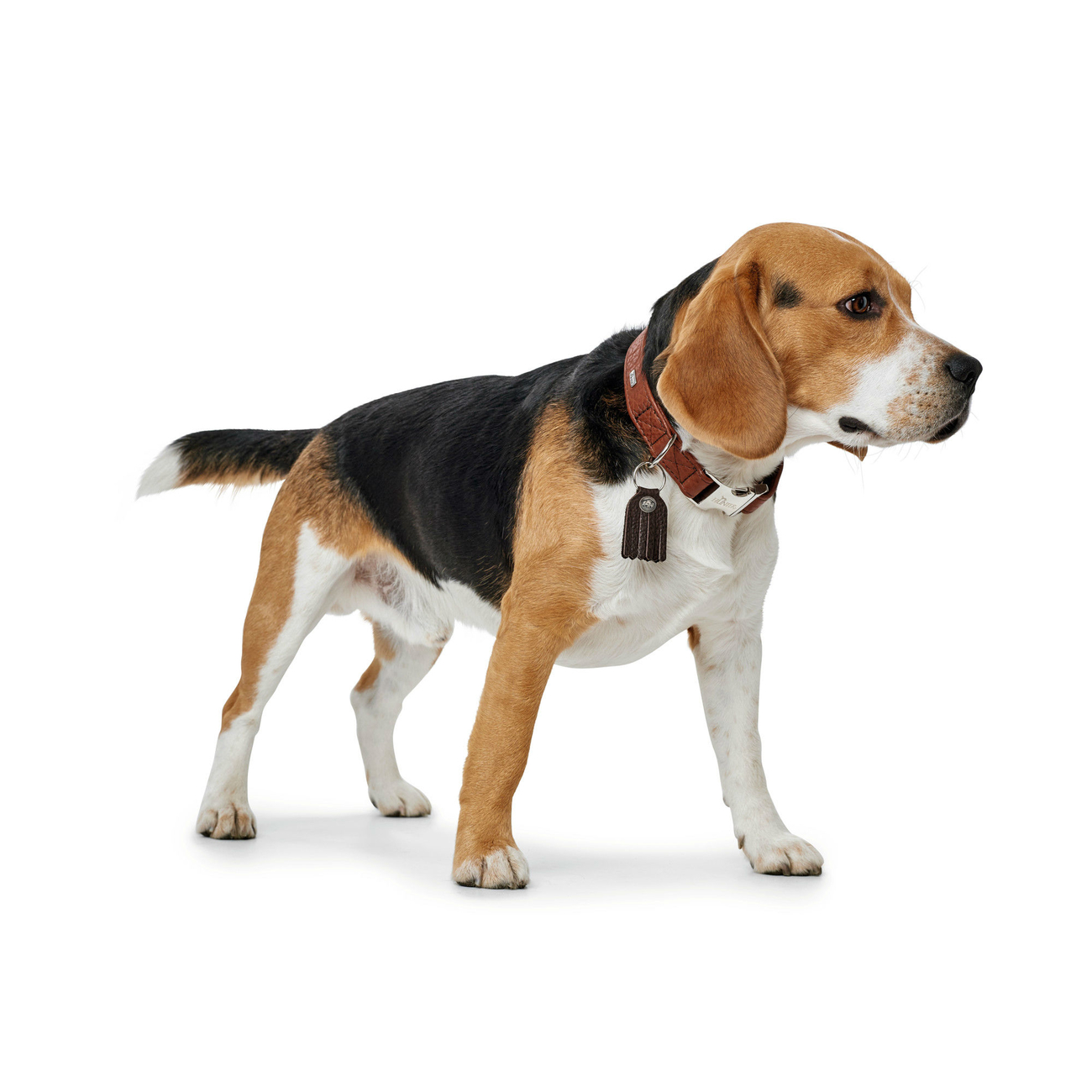 Hunter Halsung Cody Alu-Strong Bison Leder Bild 7