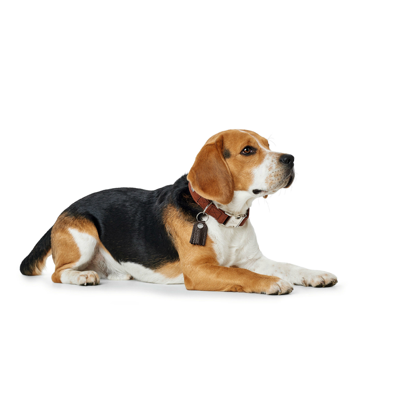 Hunter Halsung Cody Alu-Strong Bison Leder Bild 9