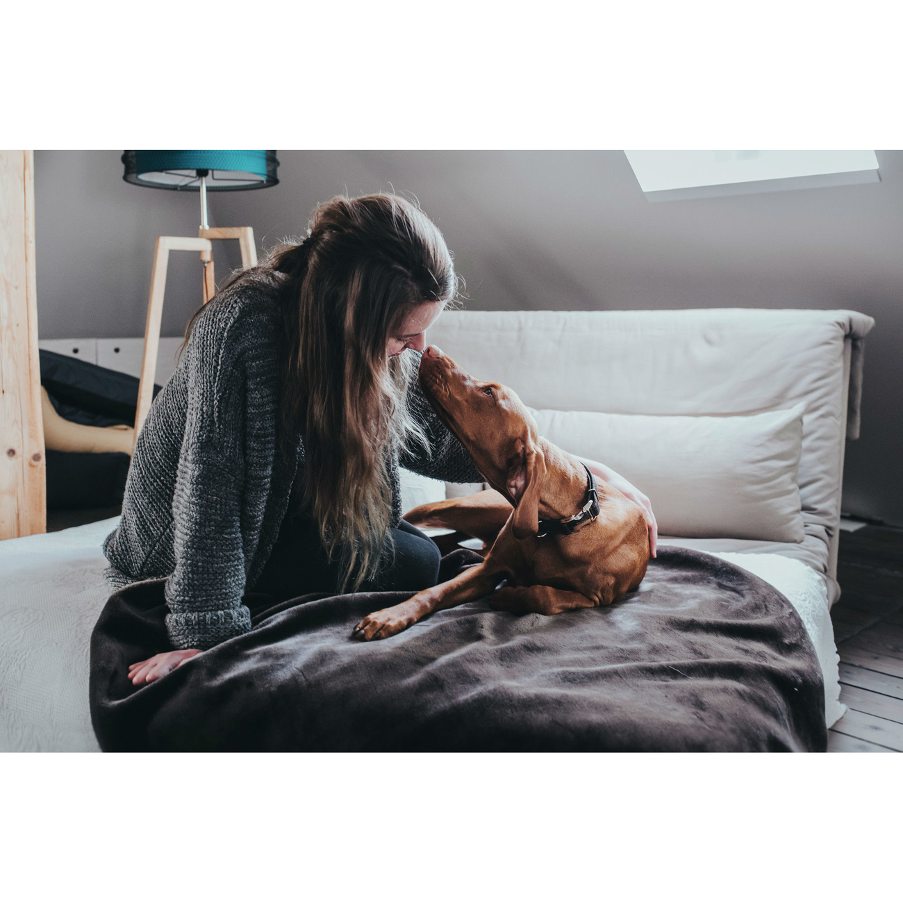 Hunter Halsung Cody Alu-Strong Bison Leder Bild 11