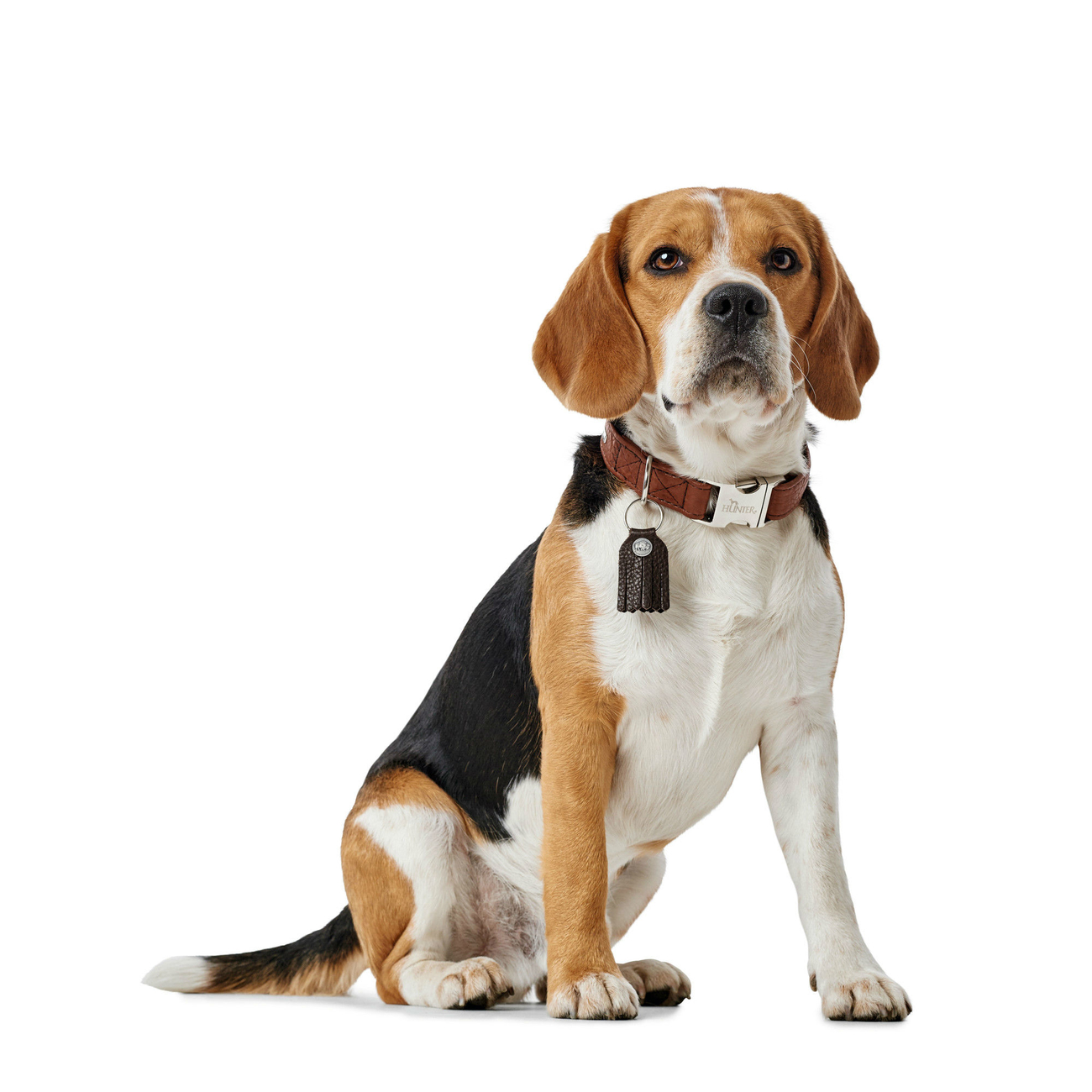 Hunter Halsung Cody Alu-Strong Bison Leder Bild 12