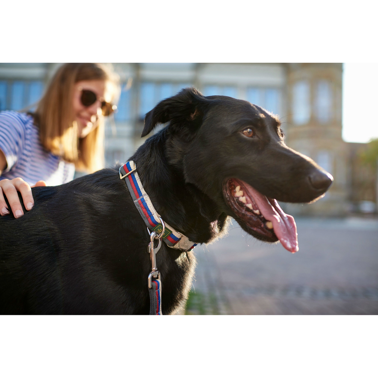 Hunter Halsung Davao Alu-Strong Bild 7