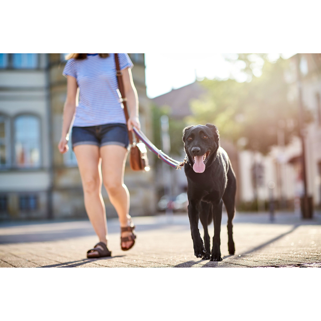 Hunter Halsung Davao Alu-Strong Bild 8