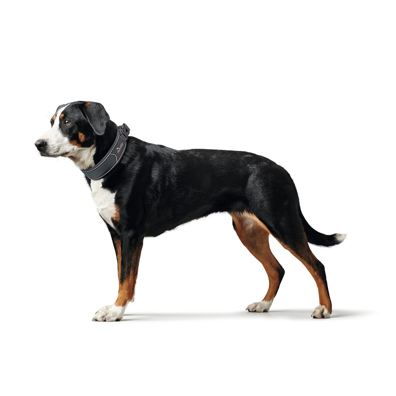 Hunter Halsung Divo Bild 11