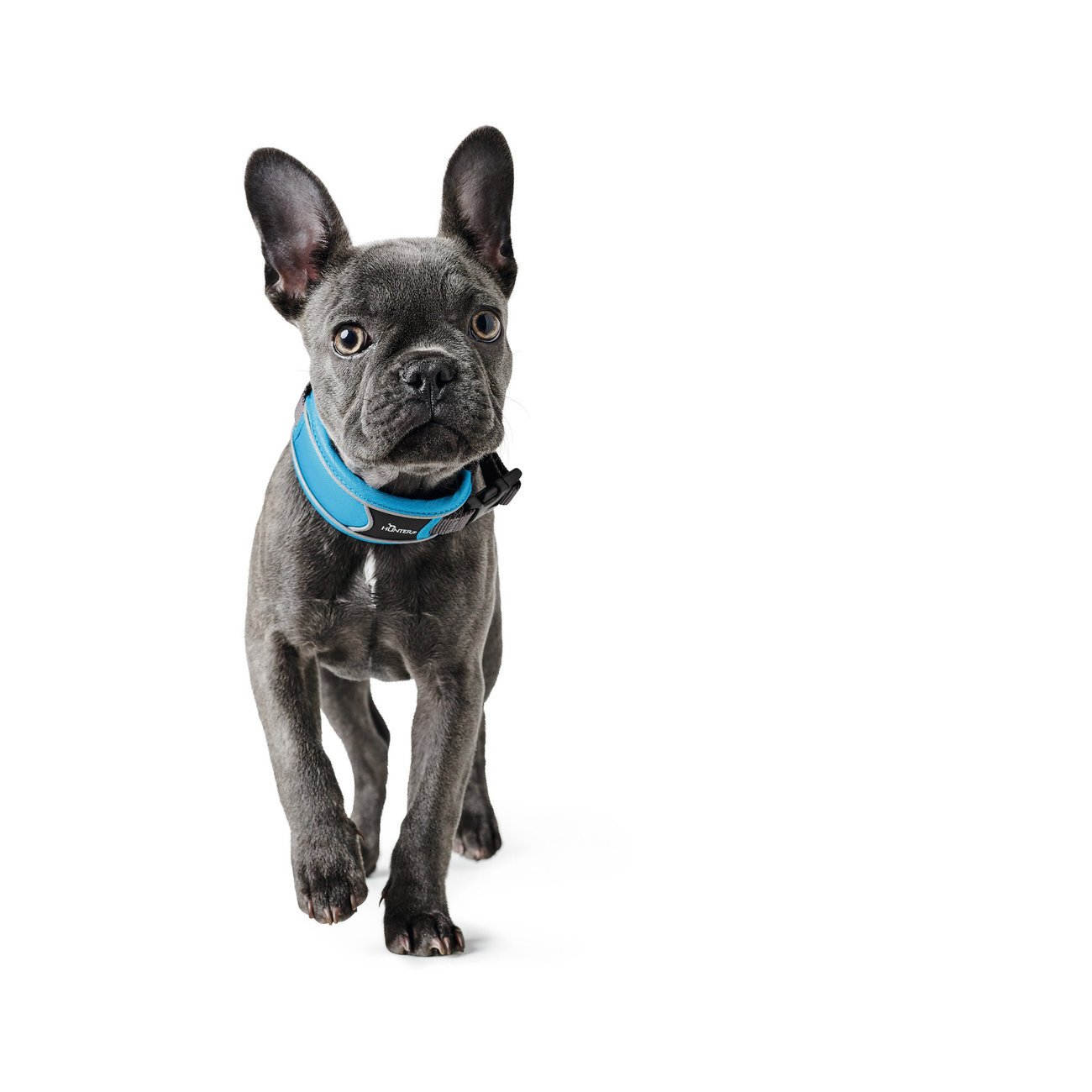 Hunter Halsung Divo Bild 7