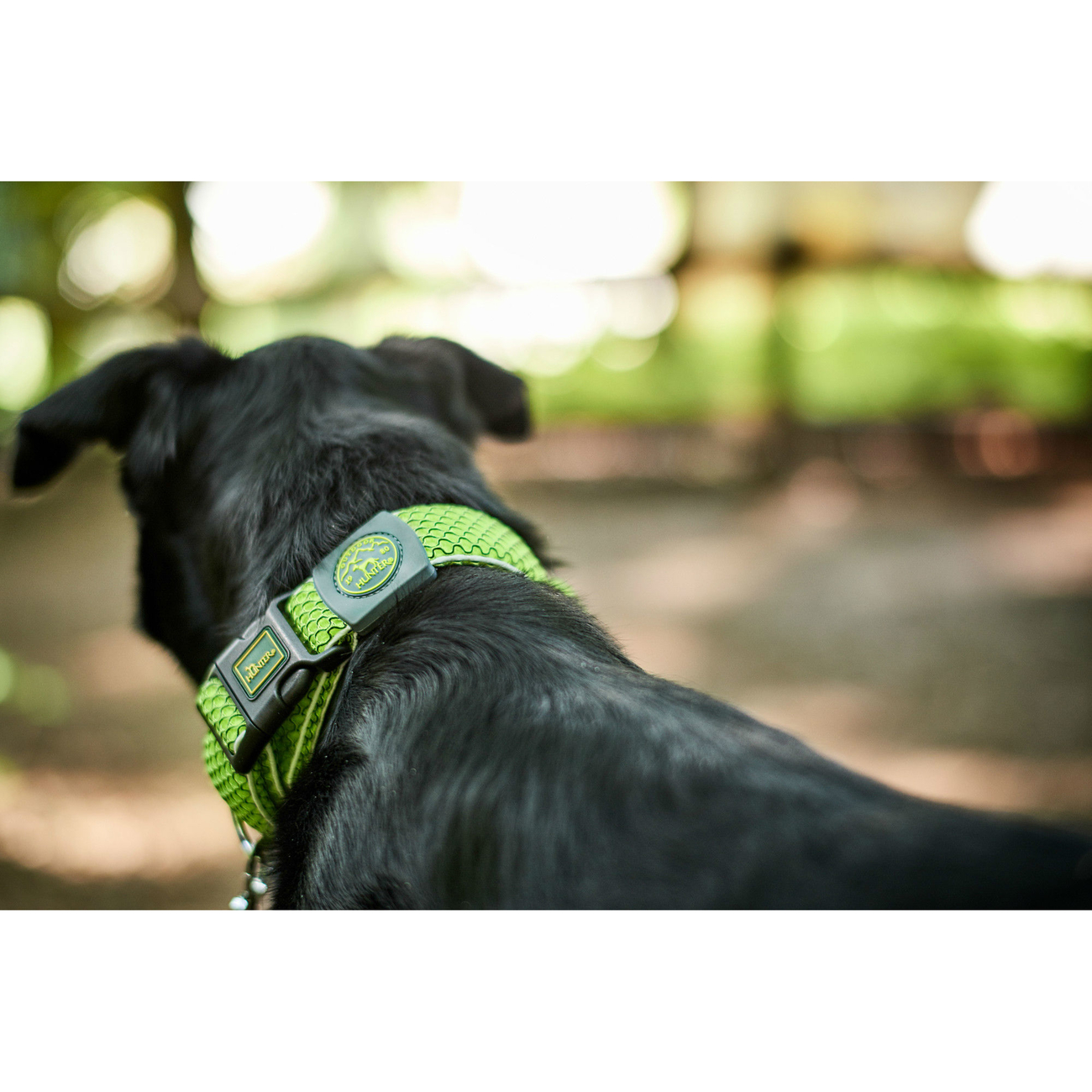 Hunter Halsung Hilo Vario Plus Bild 9