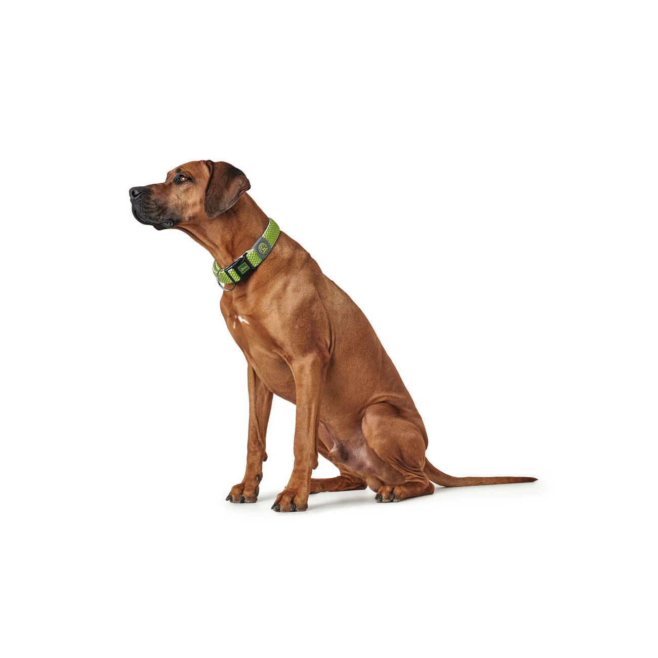 Hunter Halsung Hilo Vario Plus Bild 11