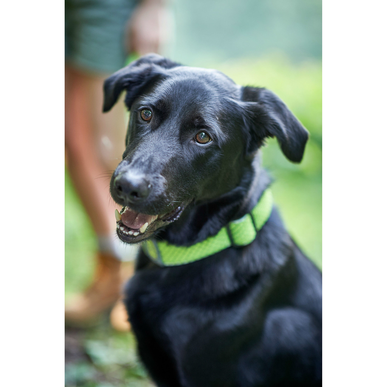 Hunter Halsung Hilo Vario Plus Bild 13