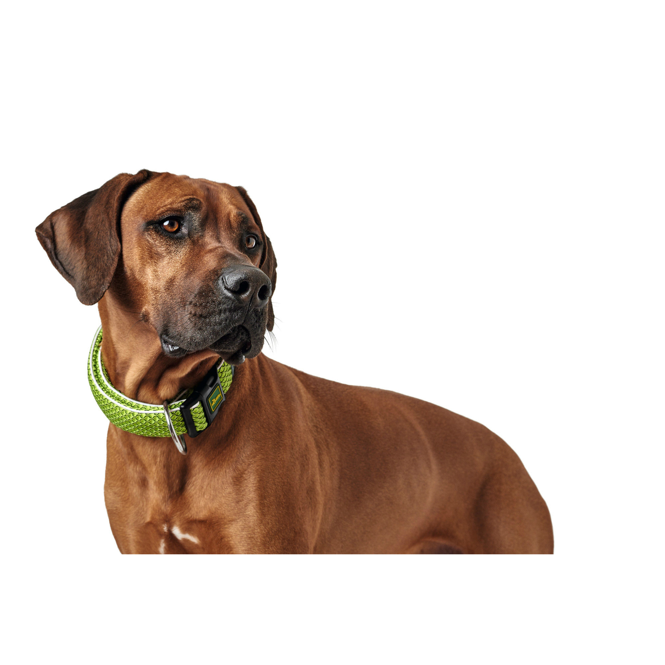 Hunter Halsung Hilo Vario Plus Bild 14