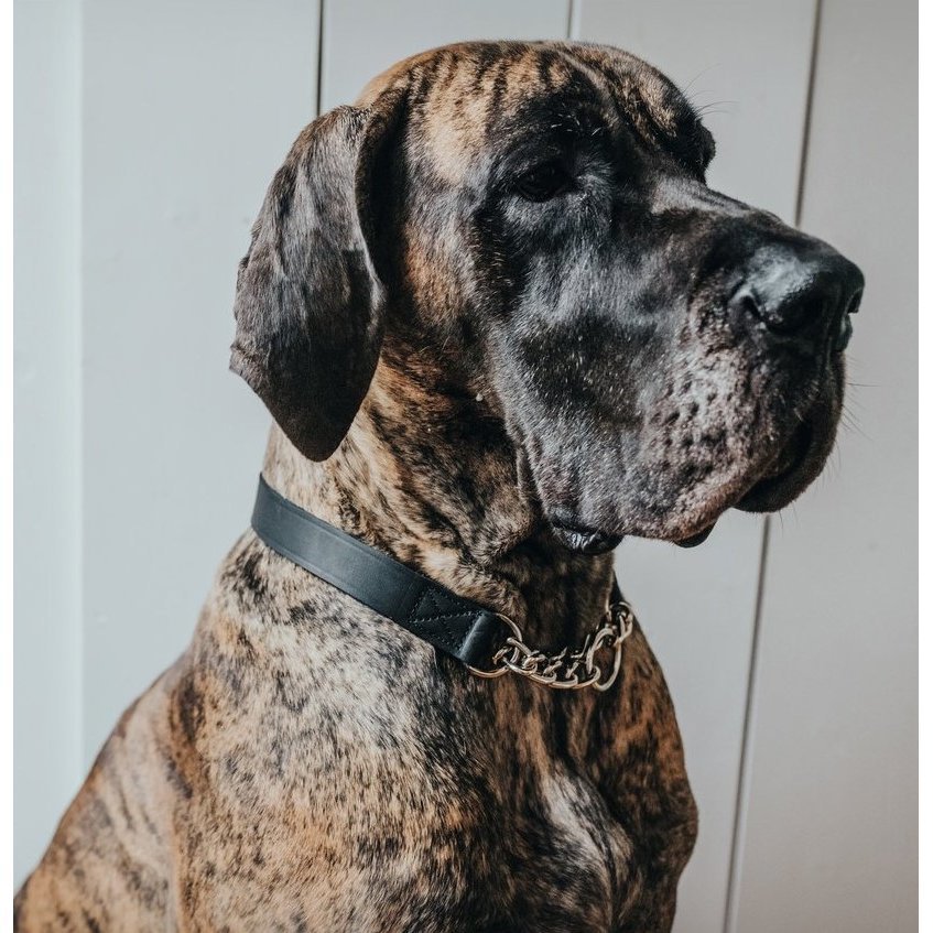 Hunter Halsung mit Kette Aalborg Bild 2