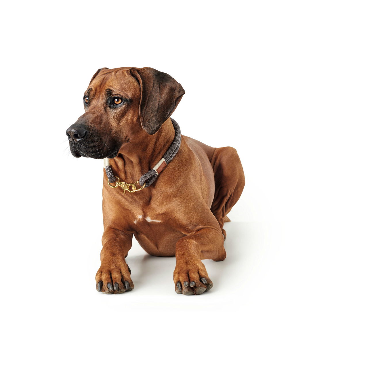 Hunter Halsung Sansibar Rantum Bild 7