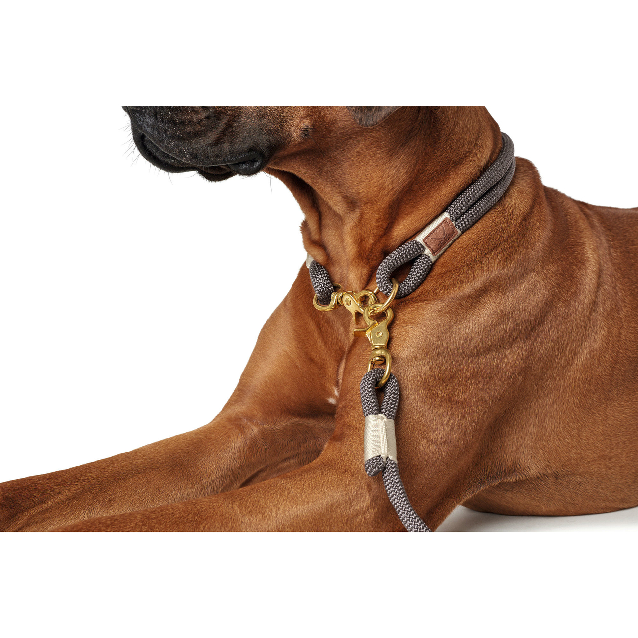 Hunter Halsung Sansibar Rantum Bild 9