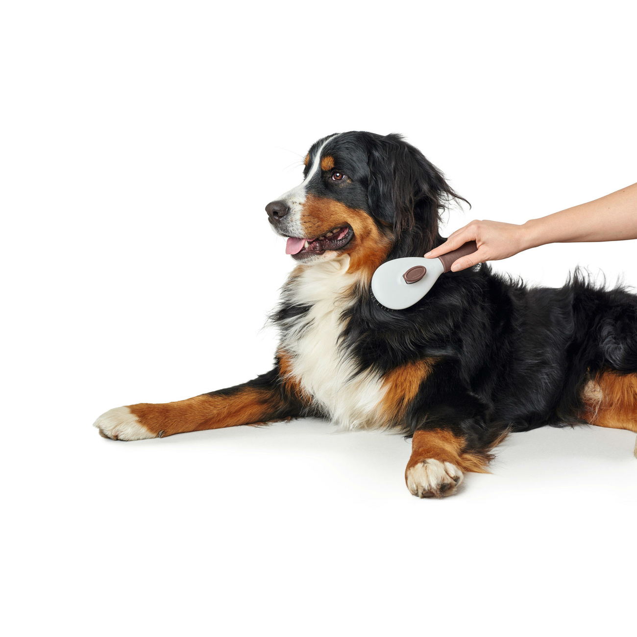 Hunter Haustier Pflegebürste Spa selbstreinigend Bild 4