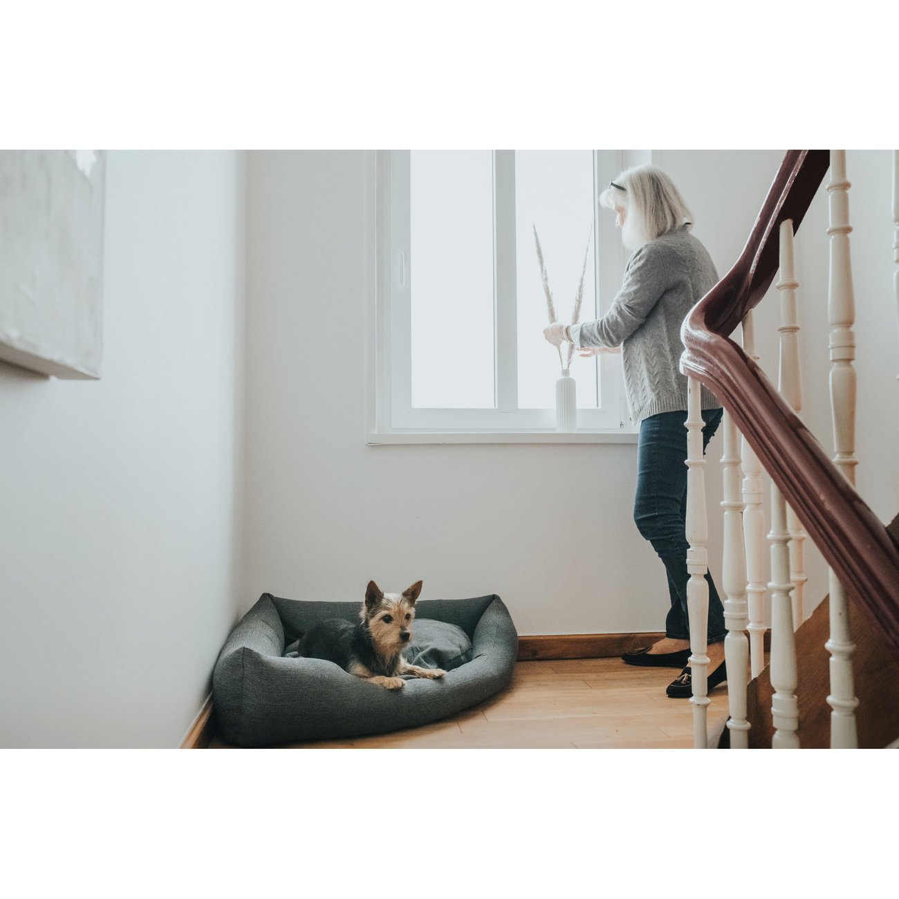 Hunter Hunde-Ecksofa Livingston Bild 2