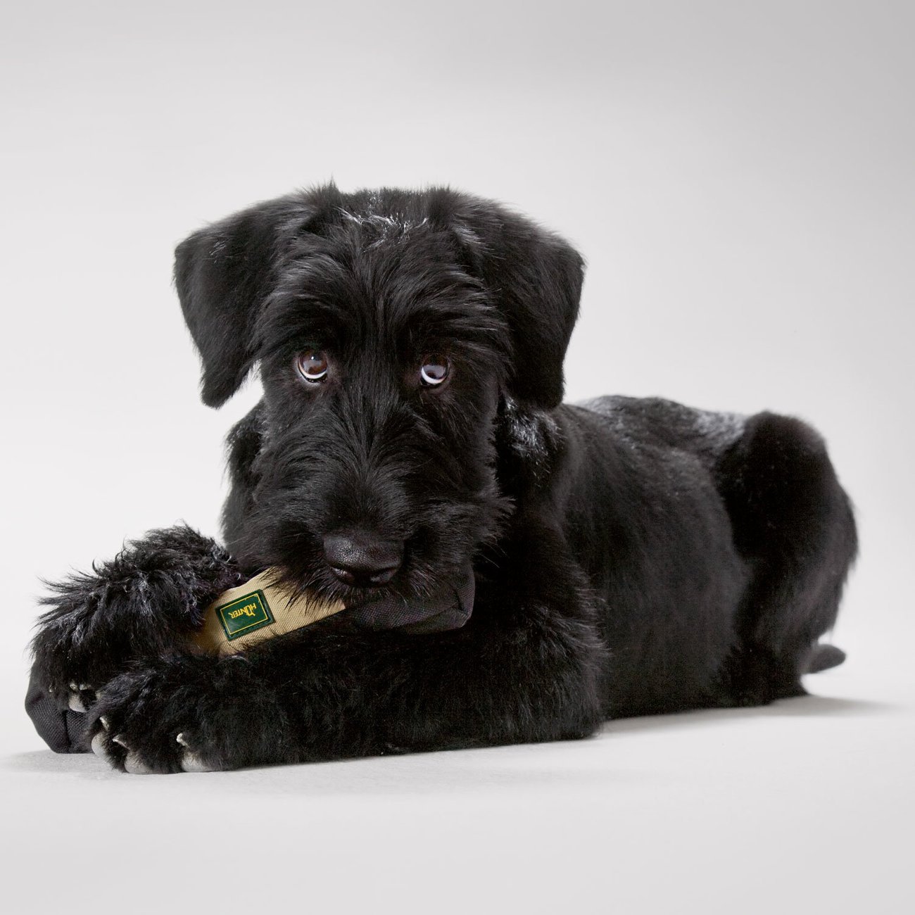 Futterbeutel Trainer Dummy Bild 6